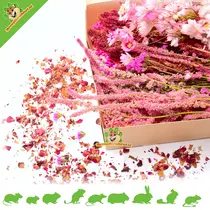 Pink Heaven Deluxe Ernteblumen-Paket