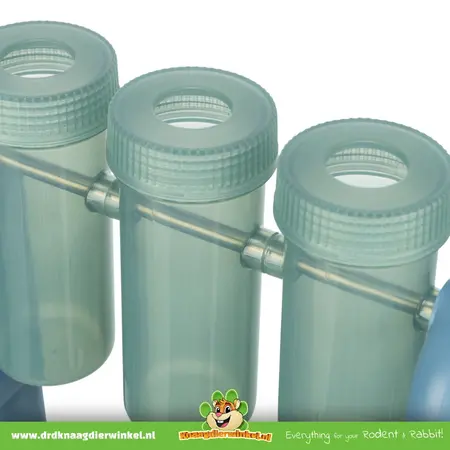 Trixie Turn Around-Strategiespiel