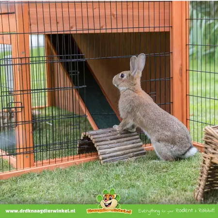 Trixie Clapier en bois résistant aux intempéries pour lapins de 124 cm
