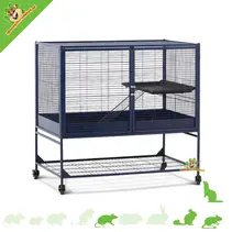 Suite Royale Bleue 100 - Cage de Base
