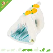 Maison moelleuse avec des carottes sur le toit