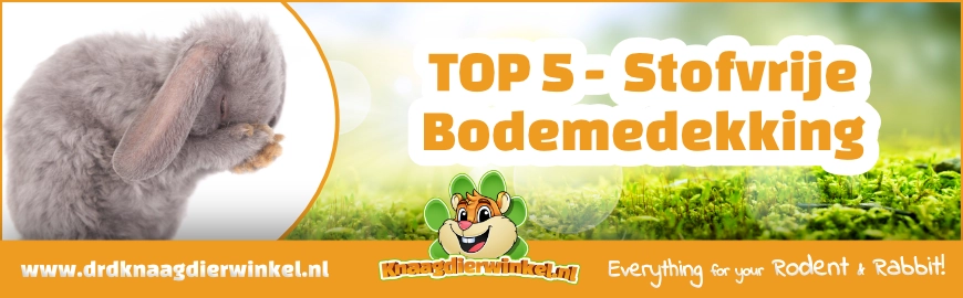 Welke bodembedekking is écht stofvrij? De ultieme gids voor een gezond verblijf