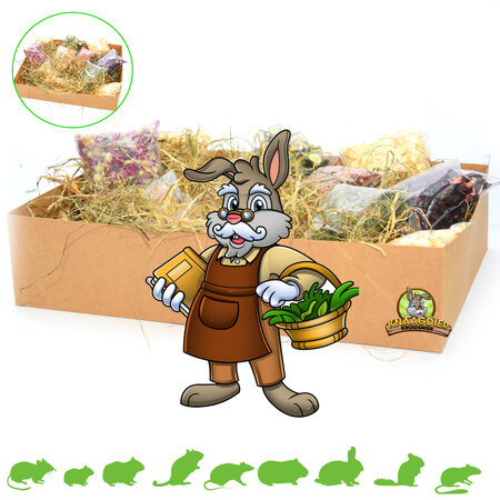 Knaagdier Kruidenier Sniffing Box Tasting