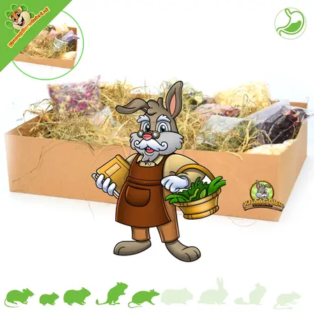 Knaagdier Kruidenier Sniffing Box Tasting