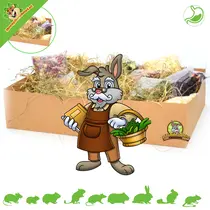Sniffing Box Verkostung