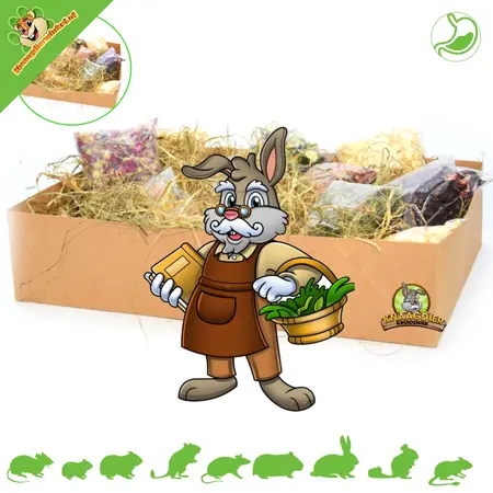 Knaagdier Kruidenier Sniffing Box Tasting