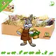 Knaagdier Kruidenier Sniffing Box Verkostung