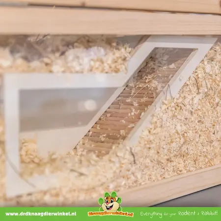 Watchbox 36 cm – Modern Hiding and Observation Post for Rodents