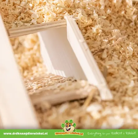 Beobachtungskasten 36 cm – Modernes Versteck und Beobachtungsposten für Nagetiere