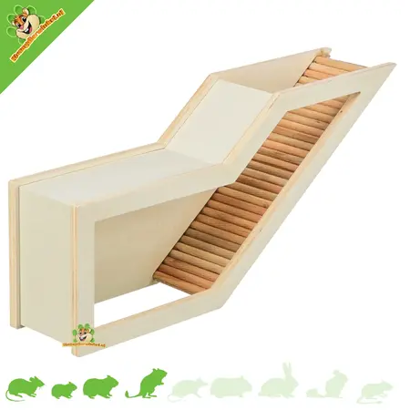 Watchbox 36 cm – Cachette et lieu d'observation moderne pour rongeurs