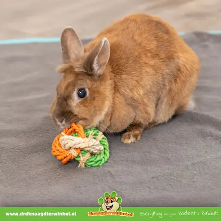 Trixie Speelringen Maïsbladeren 15 cm voor Knaagdieren & Konijnen