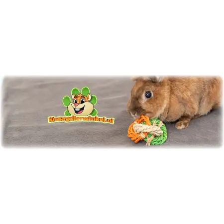 Trixie Spielringe Maisblätter 15 cm