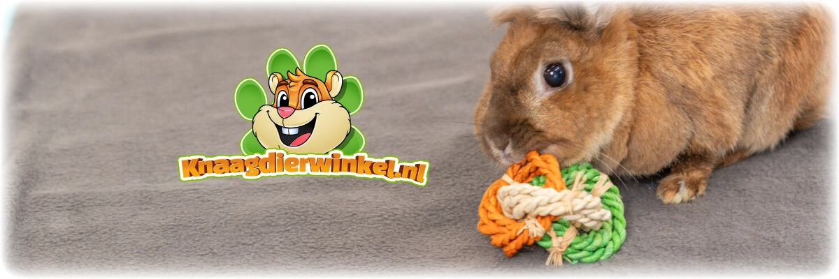 Kółka do zabawy Liście kukurydzy dla gryzoni 15 cm | DRD Rodent Shop®