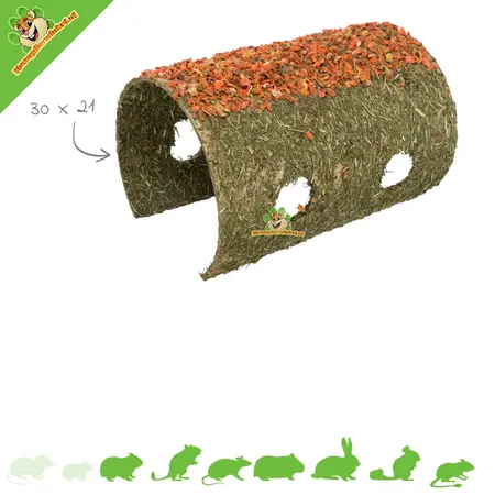 Trixie Hooitunnel met Wortel