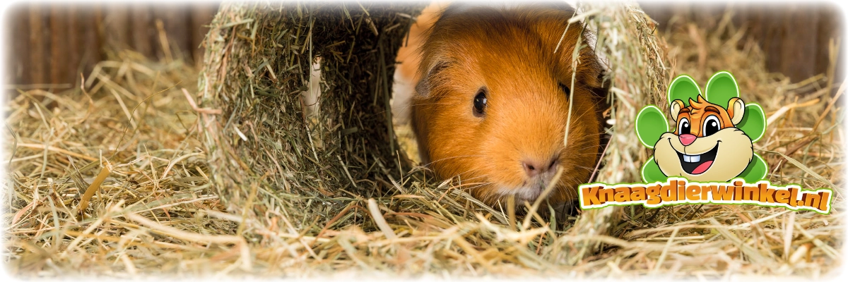trixie hooitunnel cavia konijn