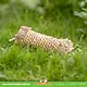 Trixie Seagrass Chew Roll 11 cm for Rodents