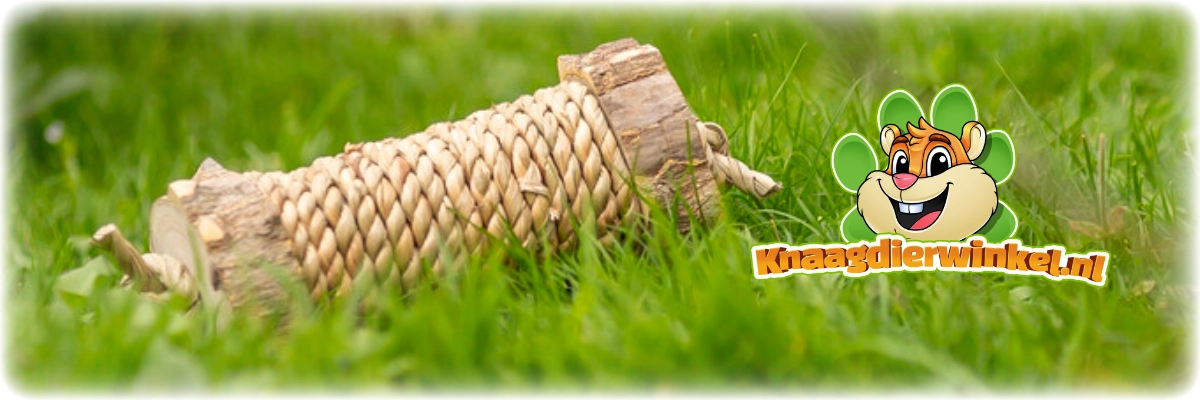 bułka z trawą morską