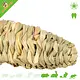 Trixie Grass toy Carrot Large 20 cm