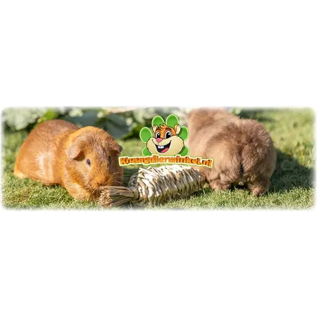 Trixie Zabawka trawiasta Marchewka Duża 20 cm