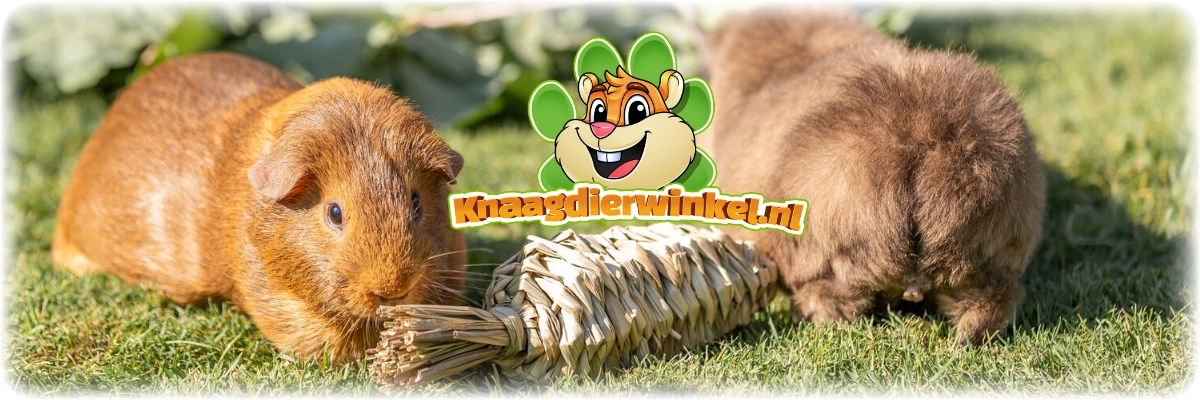 konijnen speelgoed wortel gras