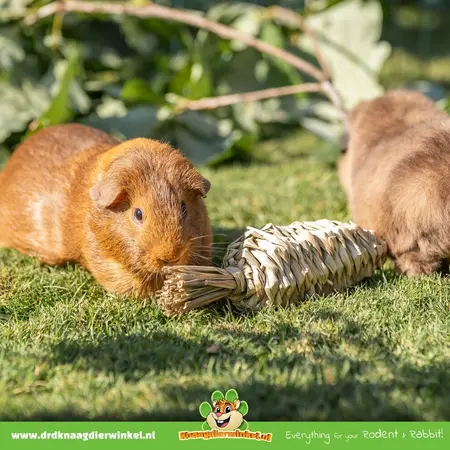 Trixie Grass Toy Carrot 20 cm for Rodents & Rabbits