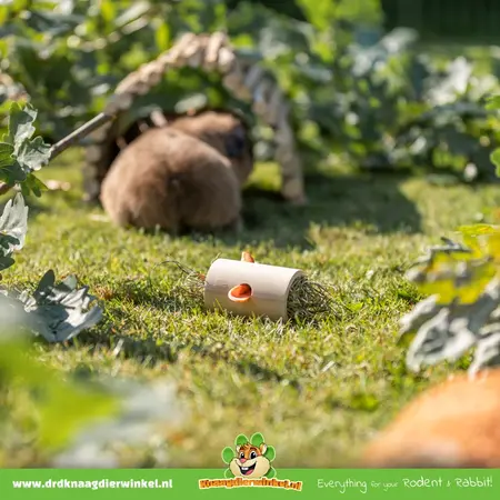 Trixie Wooden Foraging Snack Roll 11 cm