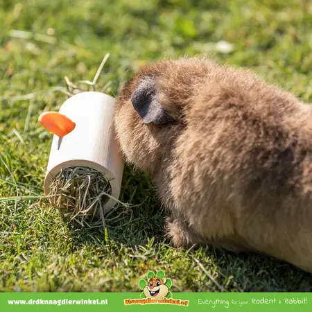 Trixie Wooden Foraging Snack Roll 11 cm