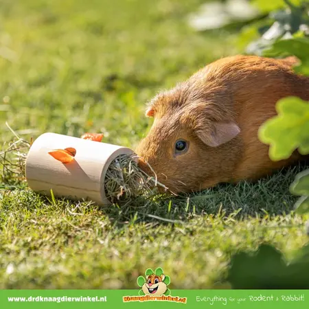 Trixie Houten Foerageer Snack Rol 11 cm