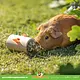Trixie Houten Foerageer Snack Rol 11 cm voor Knaagdieren
