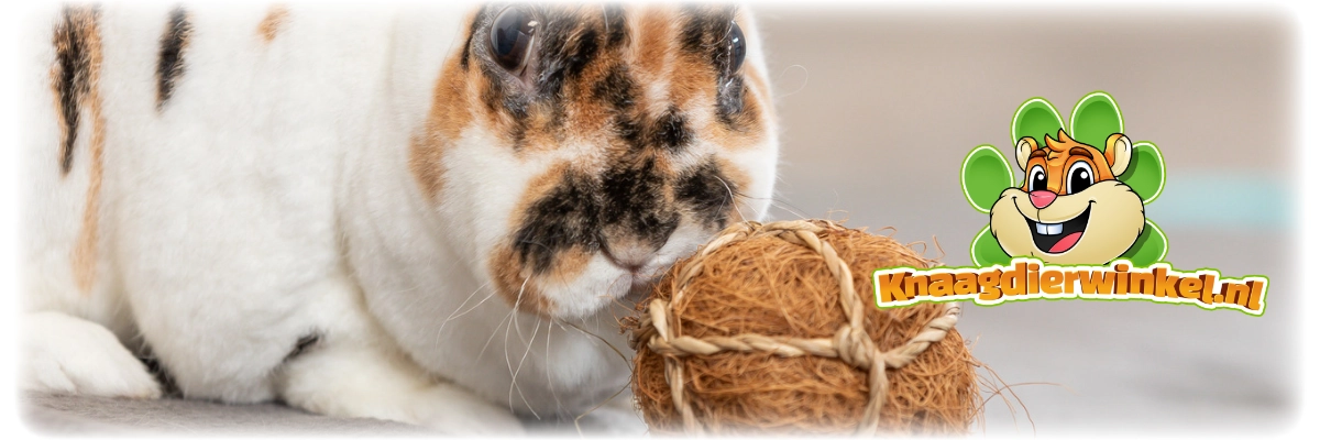 Une balle de jeu naturelle en fibre de coco et en algues marines – à ronger, à rouler et à détruire pour les rongeurs et les lapins.