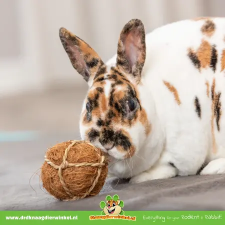 Trixie Kokos Speelbal 6 cm voor Knaagdieren & Konijnen