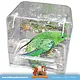 Trixie Halfrond Vogelbadje 15 cm voor Kanaries, Vinken en Parkieten