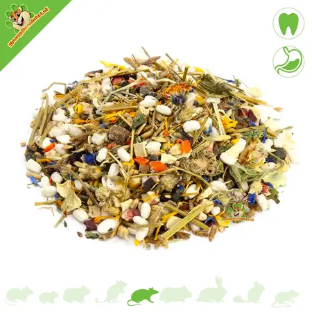 Mr Crumble Alimento natural para ratas sin proteína animal | Comida para ratas