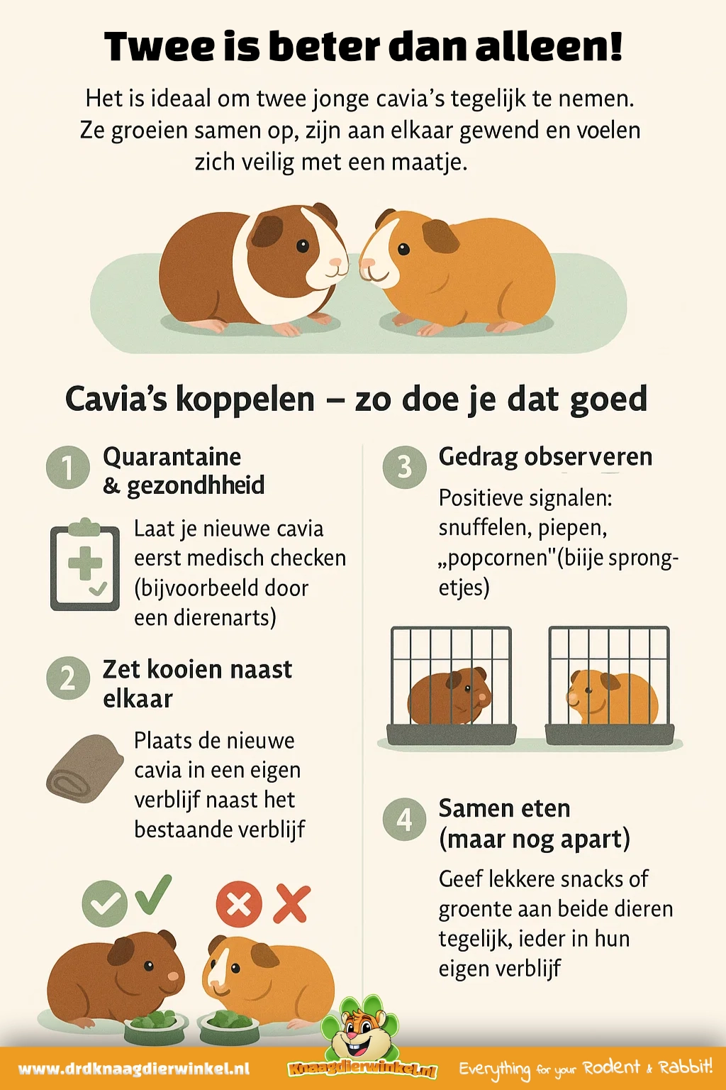 cavia's koppelen gids en uitleg