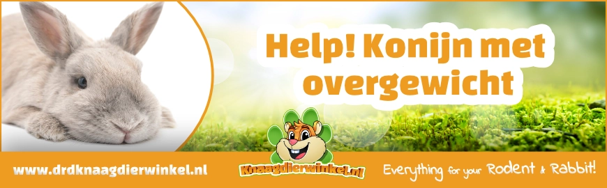 Help! Konijn met overgewicht – wat nu?