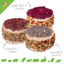 Zdrowa kanapka dla gryzoni