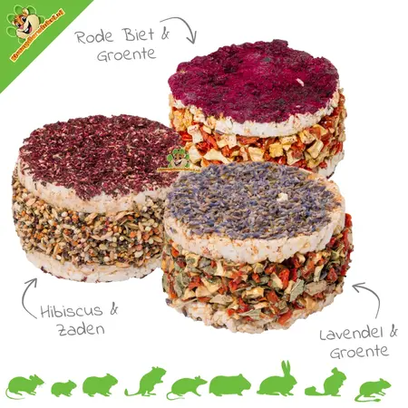 Sándwich saludable para roedores