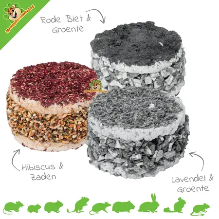 Sándwich de roedor saludable