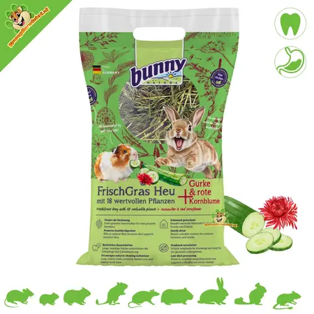 Bunny Nature FreshGrass Hay Ogórek i Czerwony Chaber 500 gramów