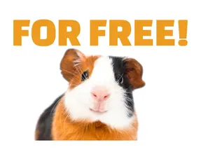 Free