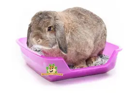 Baños para conejos