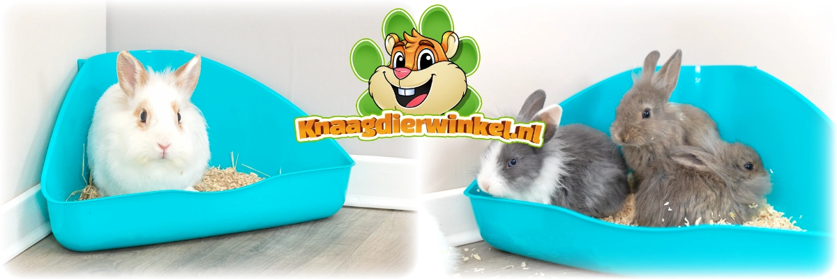 Trixie Ecktoilette 36 cm für Nagetiere und Kaninchen