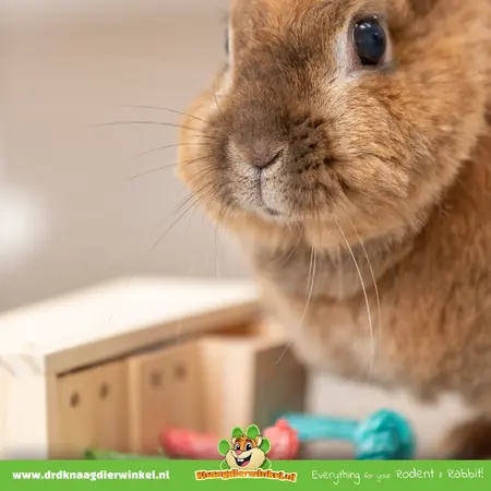 Trixie  Gra w żerowanie w blokach przekąskowych dla gryzoni i fretek!