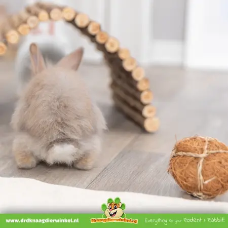 Trixie Coconut Play Ball 6 cm for Rodents & Rabbits
