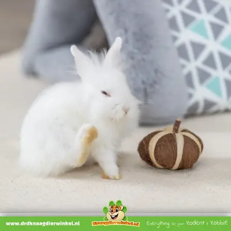 Trixie Kokos Speelbal 6 cm voor Knaagdieren & Konijnen