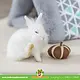 Trixie Kokosnuss-Spielball 6 cm für Nagetiere und Kaninchen