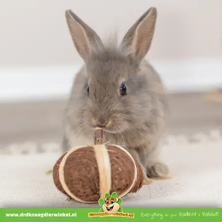 Trixie Coconut Play Ball 6 cm