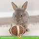 Trixie Pelota de coco de 6 cm para roedores y conejos