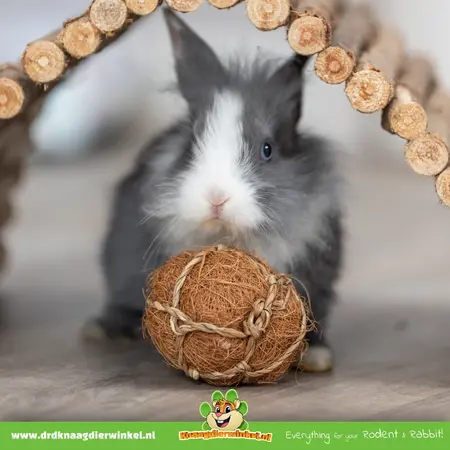 Trixie Coconut Play Ball 6 cm for Rodents & Rabbits