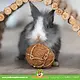 Trixie Kokos Speelbal 6 cm voor Knaagdieren & Konijnen